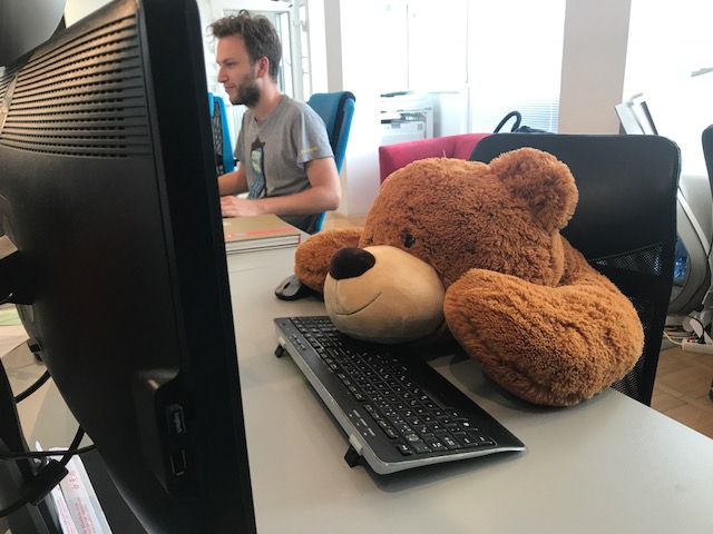 Delavnost medveda